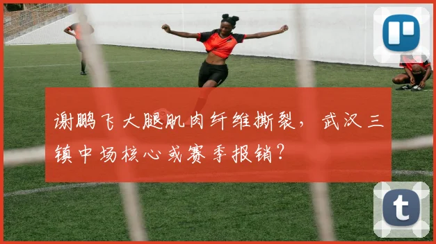 谢鹏飞大腿肌肉纤维撕裂，武汉三镇中场核心或赛季报销？